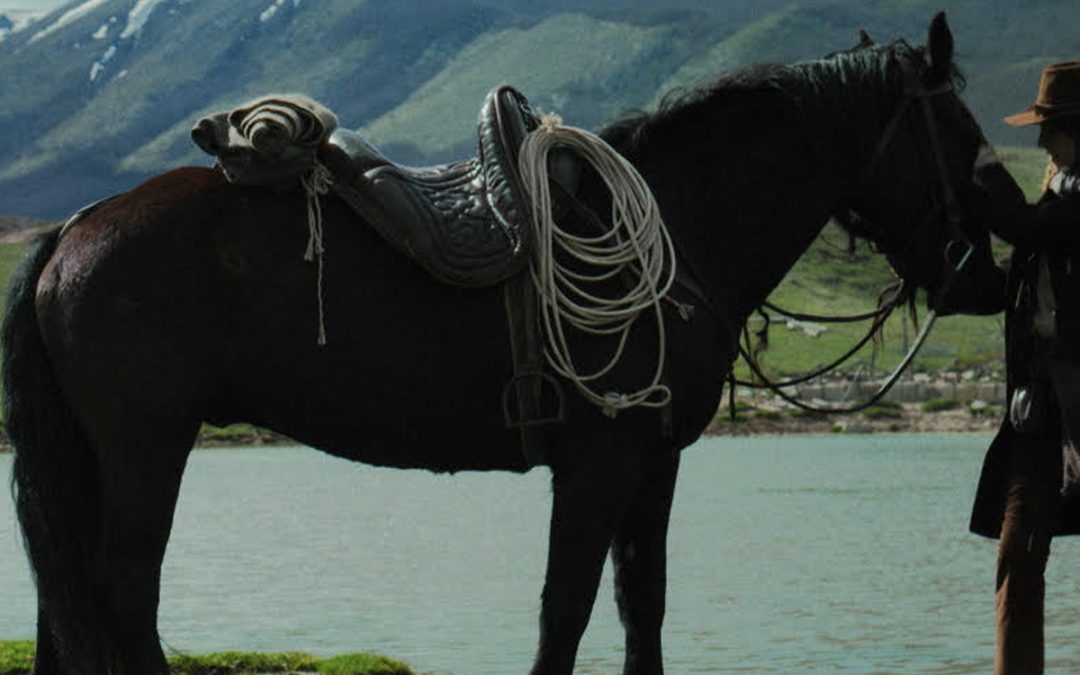 The tale of the girl and the horse
